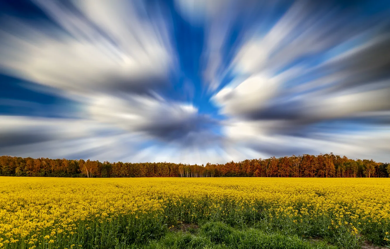 Photo wallpaper field, the sky, rape