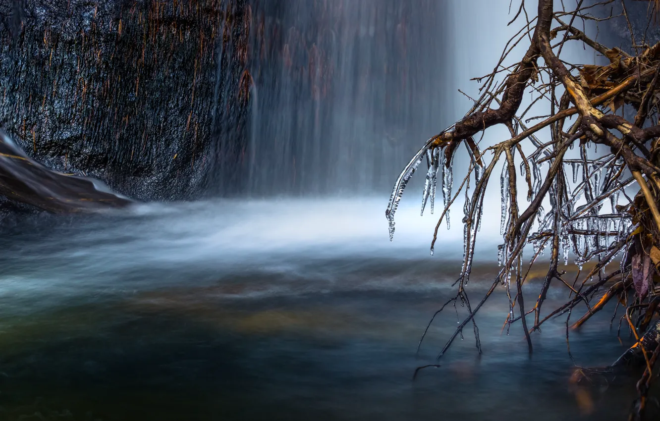 Photo wallpaper ice, water, branches, nature, tree, waterfall