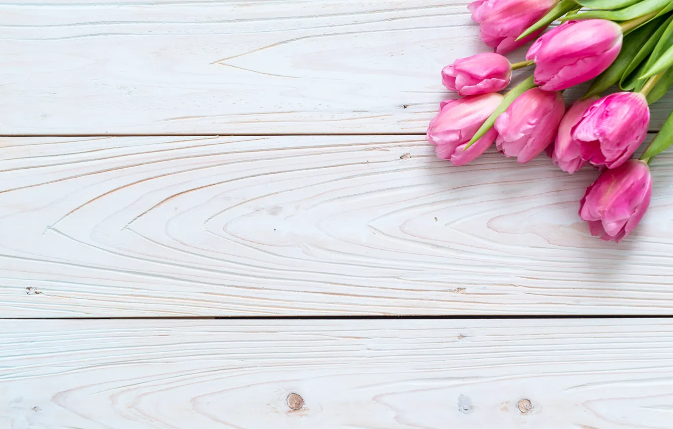 Photo wallpaper flowers, tulips, pink, fresh, wood, pink, flowers, tulips