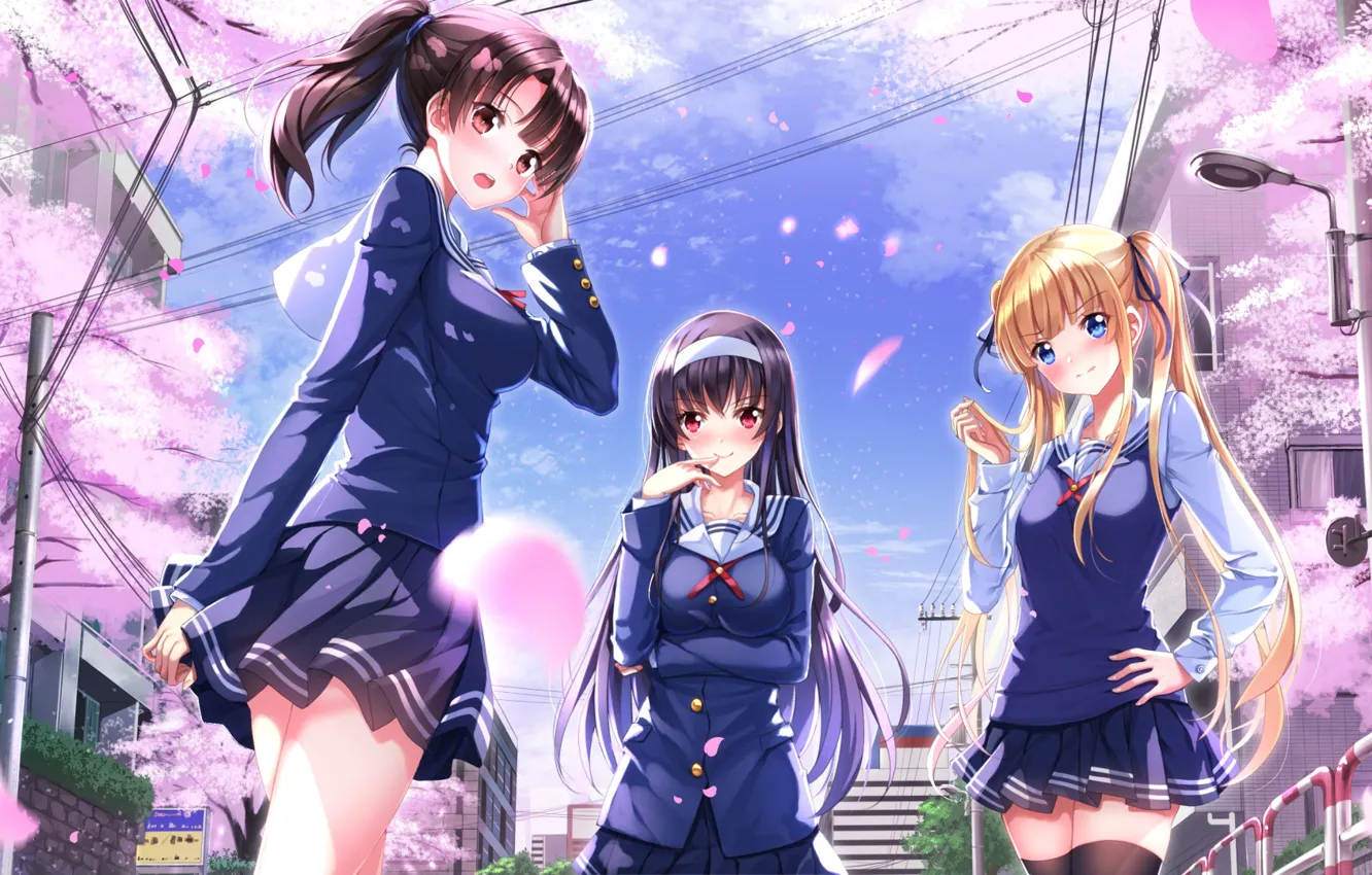 Photo wallpaper girl, anime, art, saenai heroine from sodatekata, Megumi Catholic, Utaha Kasumigaoka, Eriri Spencer Sawamura