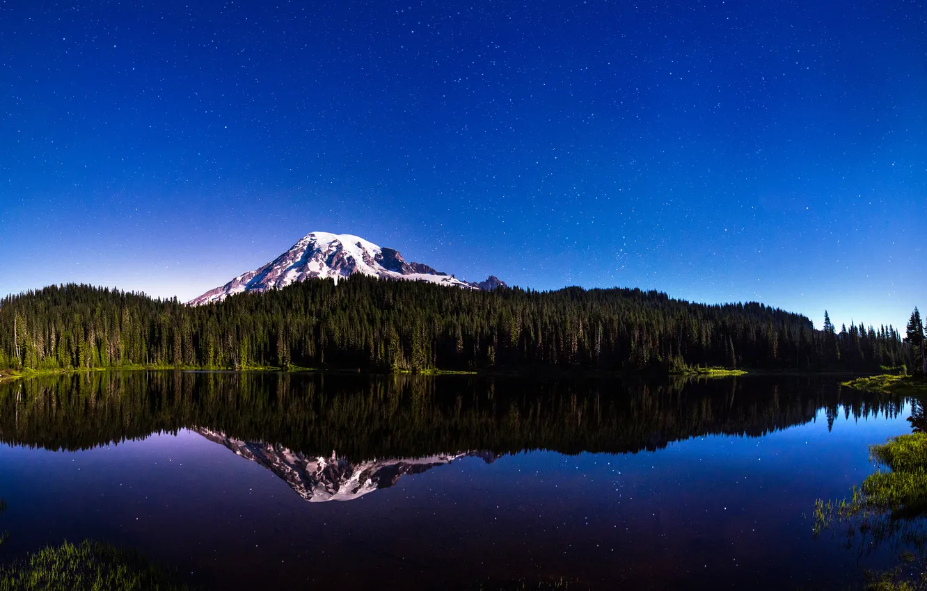 Photo wallpaper forest, the sky, stars, trees, mountains, lake