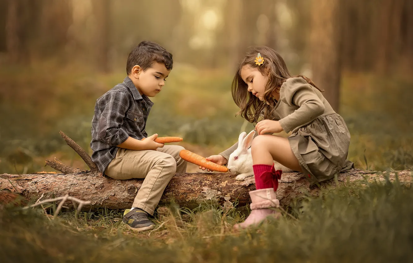 Photo wallpaper forest, nature, children, animal, boy, rabbit, girl, log