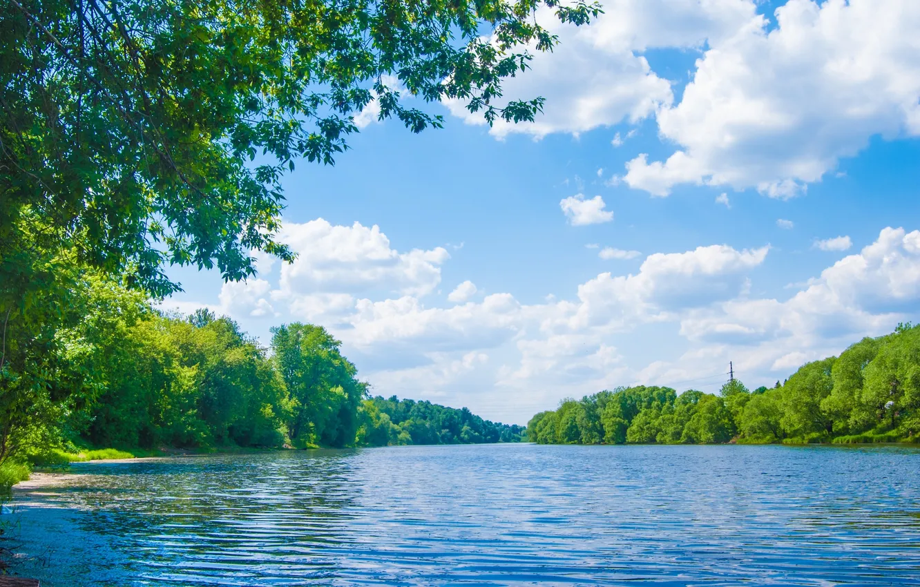 Photo wallpaper forest, the sky, grass, clouds, trees, landscape, nature, river