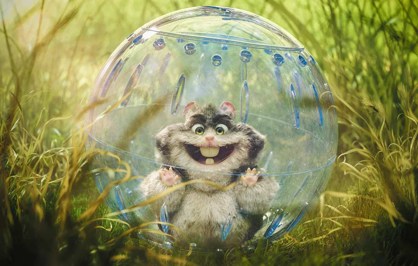 Photo wallpaper grass, balls, beast, Rex