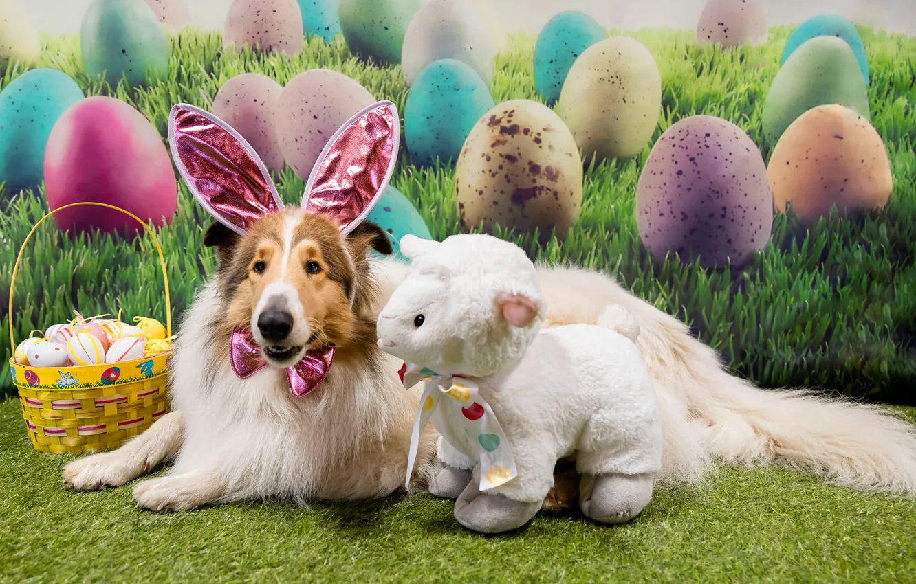Photo wallpaper holiday, toy, dog, Easter