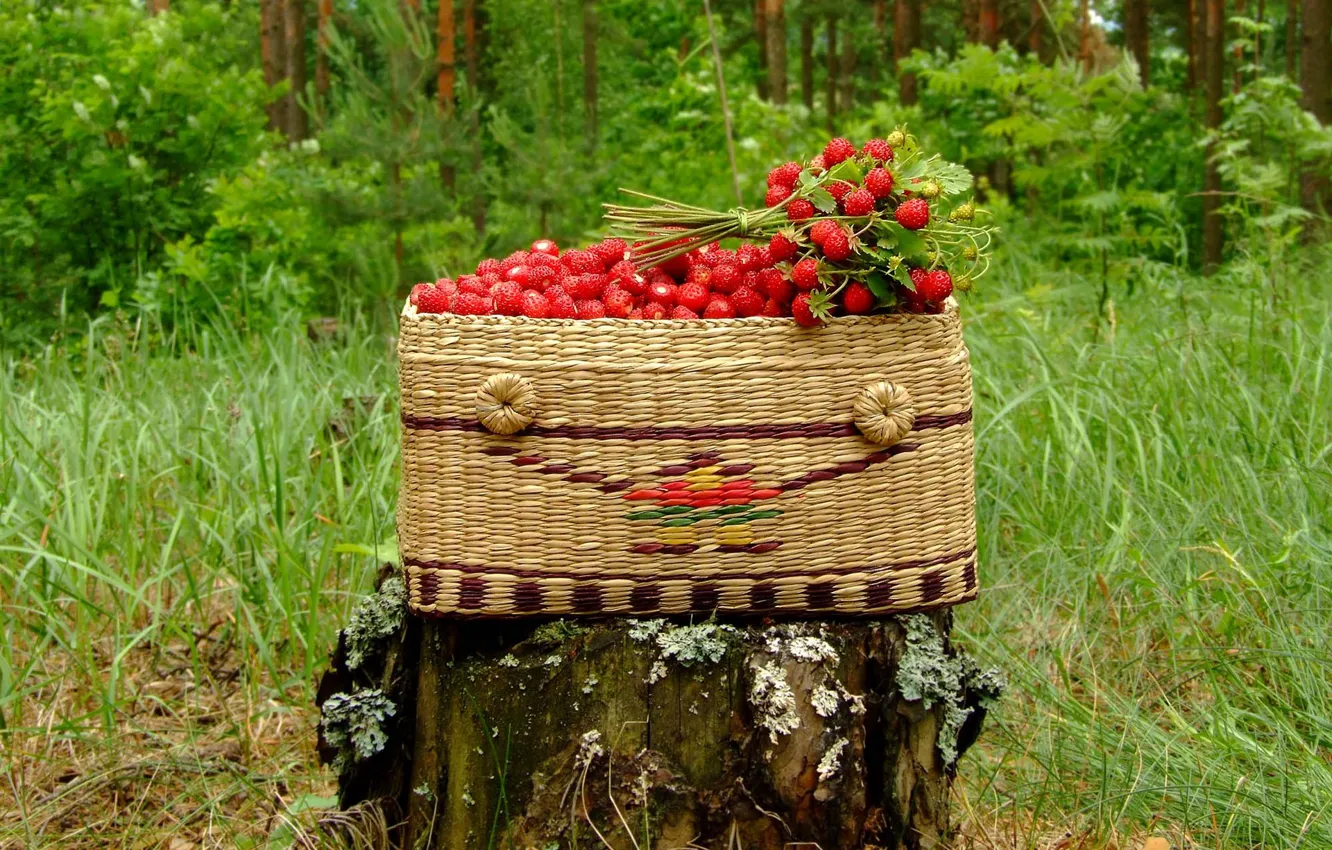 Photo wallpaper basket, stump, strawberries