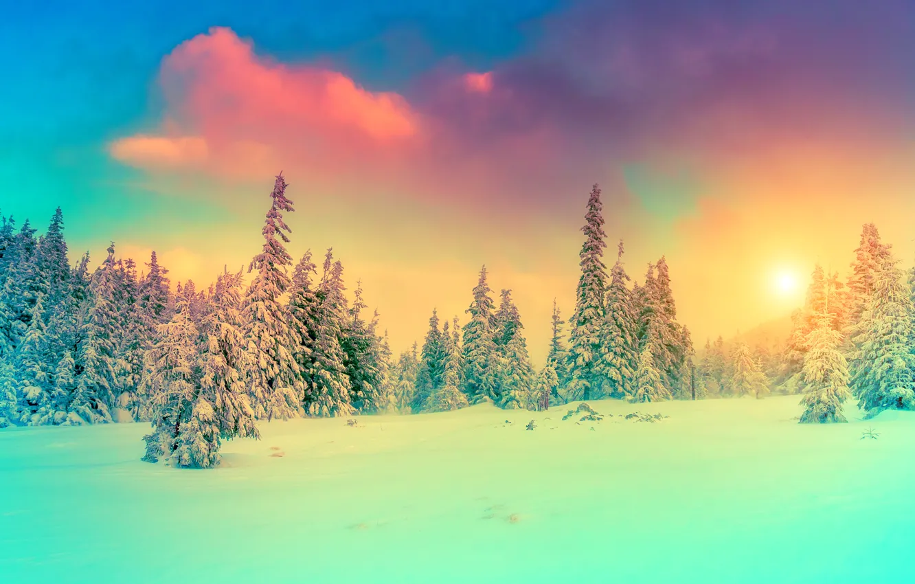 Photo wallpaper winter, the sky, snow, landscape, nature, photo, spruce