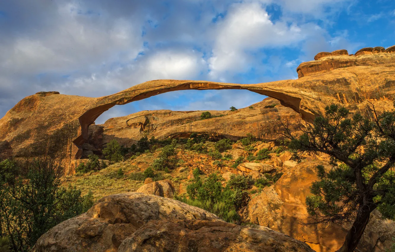 Photo wallpaper stones, rocks, arch, Utah, USA, Arches National Park, Archez