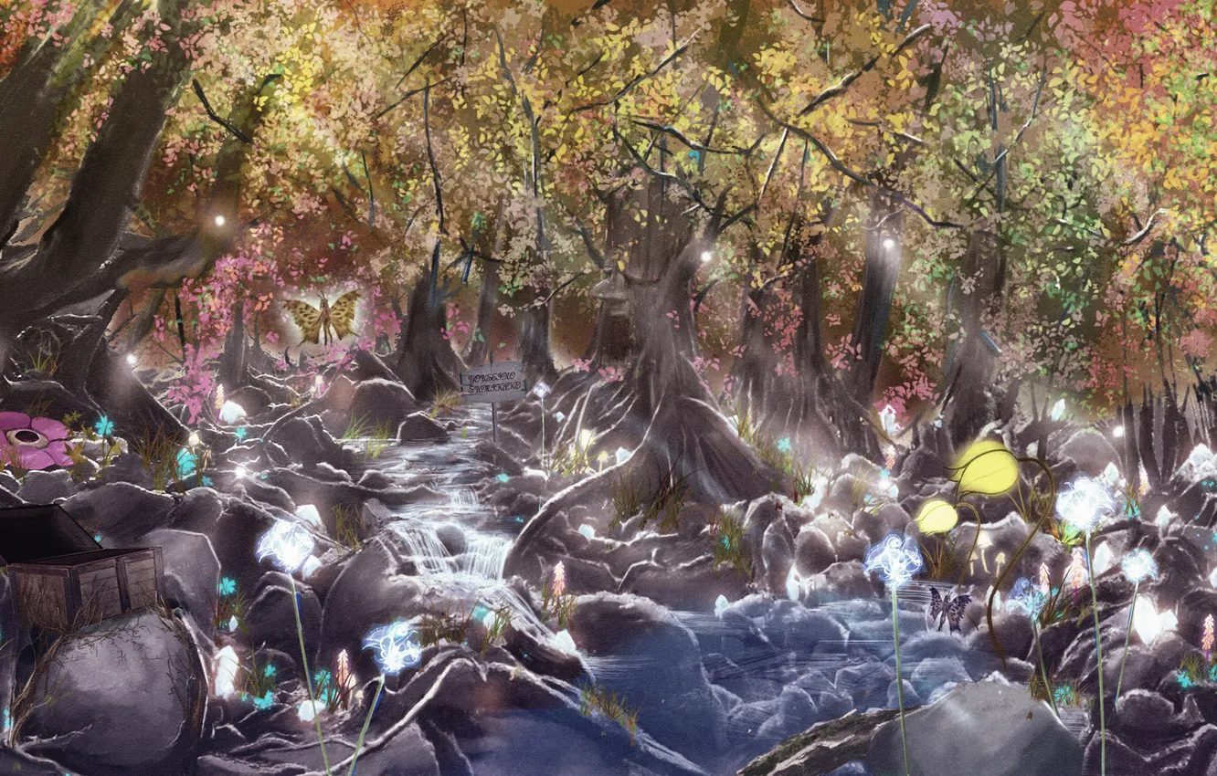 Photo wallpaper forest, rays, river, morning, chest