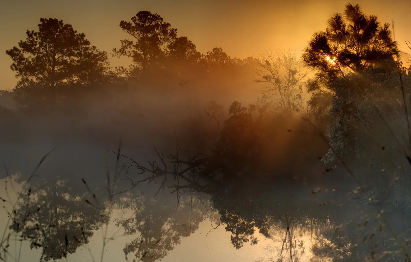 Photo wallpaper sunset, fog, lake