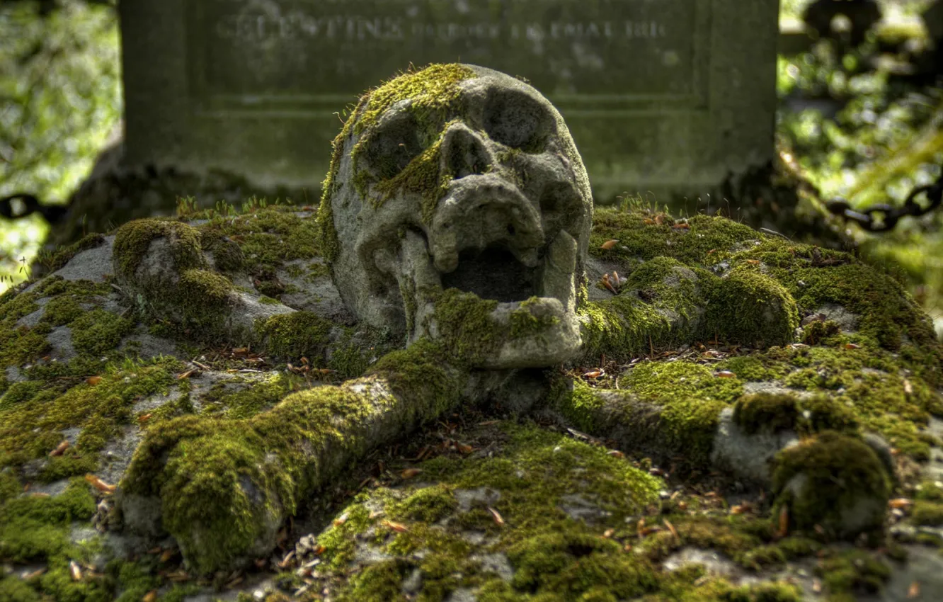 Photo wallpaper skull, bones, grave