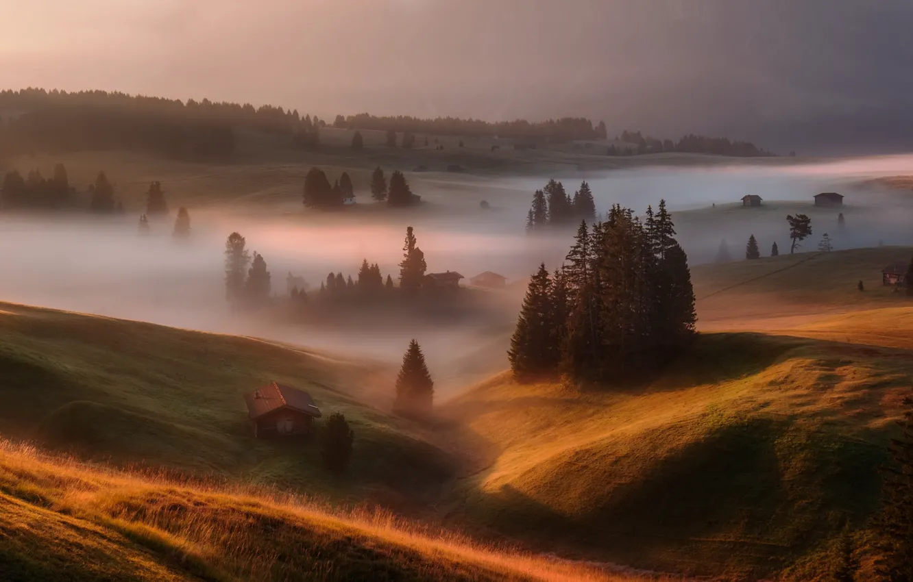 Photo wallpaper field, autumn, forest, light, mountains, fog, hills, morning