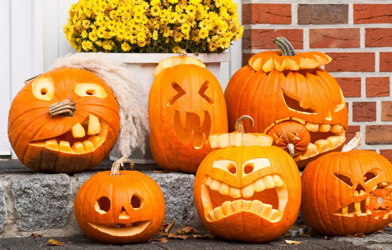 Photo wallpaper mood, holiday, pumpkin, Halloween