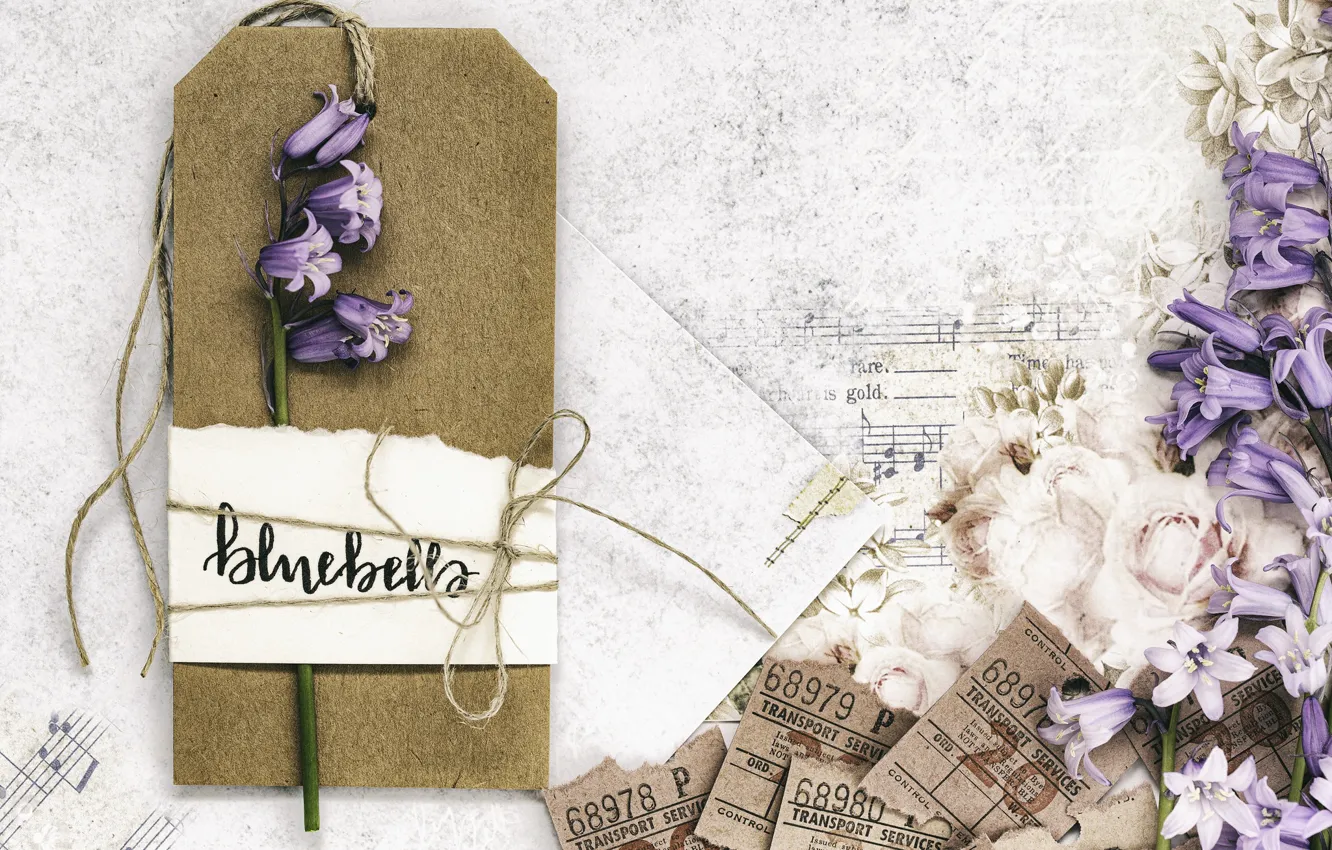 Photo wallpaper notes, bells, vintage, string, TICKET