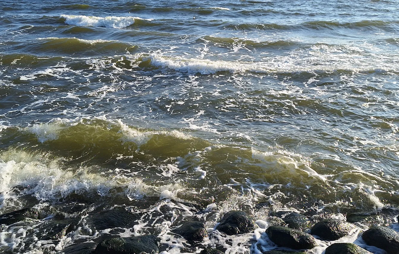 Photo wallpaper Piana, Sea, Baltic, speak