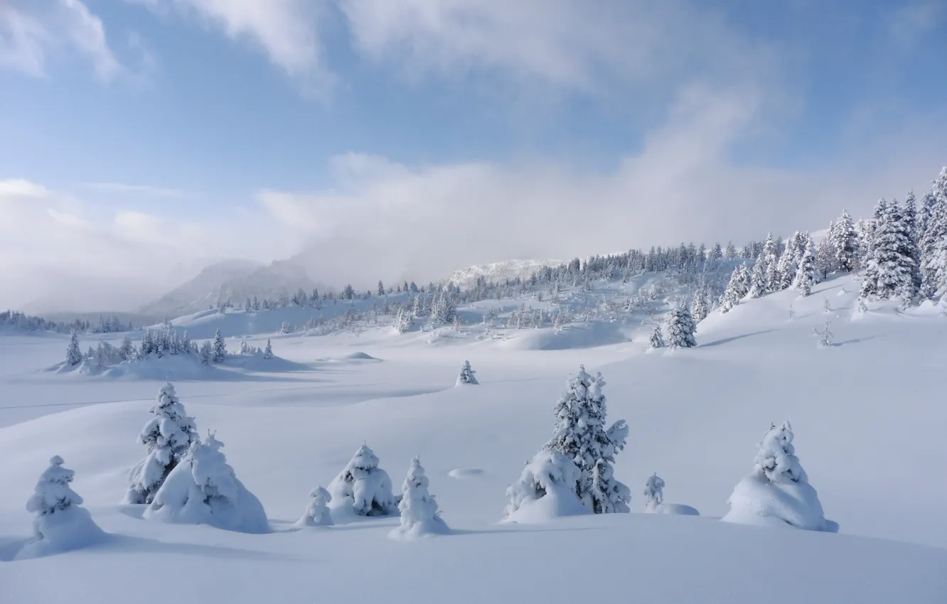 Photo wallpaper winter, snow, trees, ate, Canada, the snow, Albert, Banff National Park