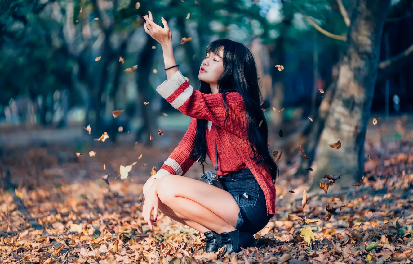 Photo wallpaper autumn, girl, foliage