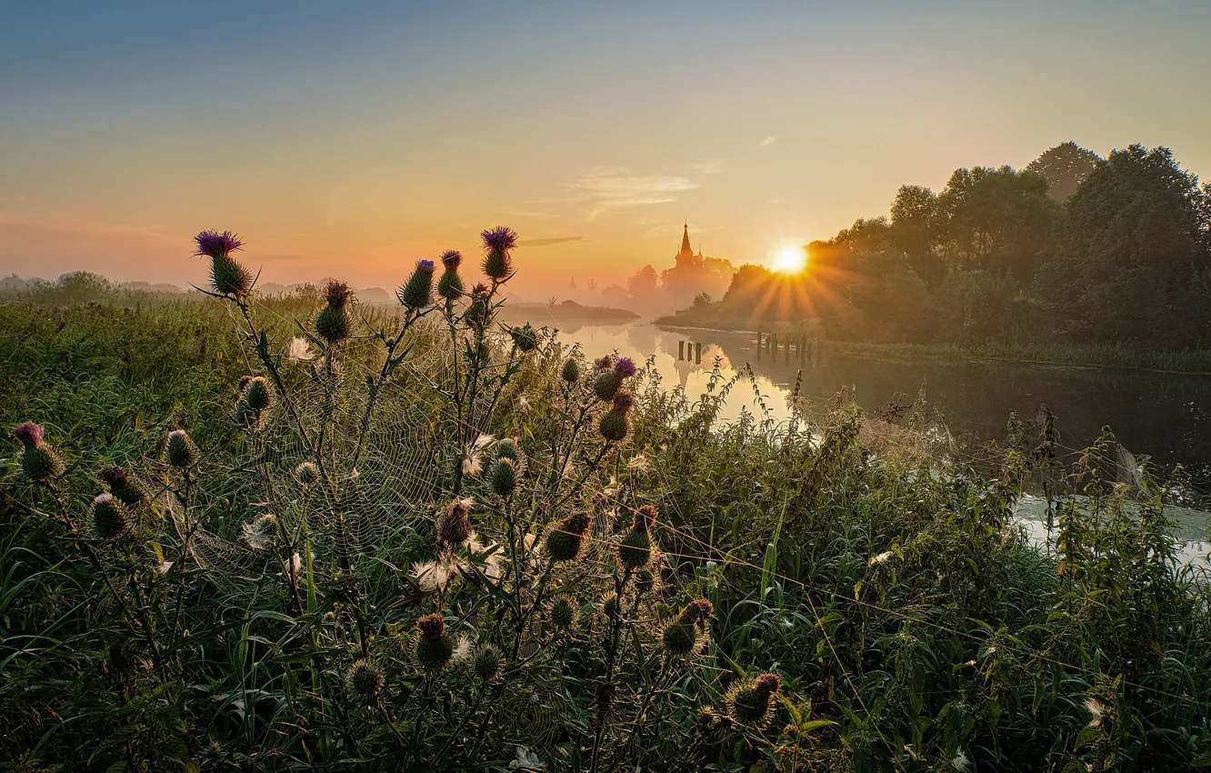 Photo wallpaper summer, the sun, rays, trees, landscape, nature, river, dawn