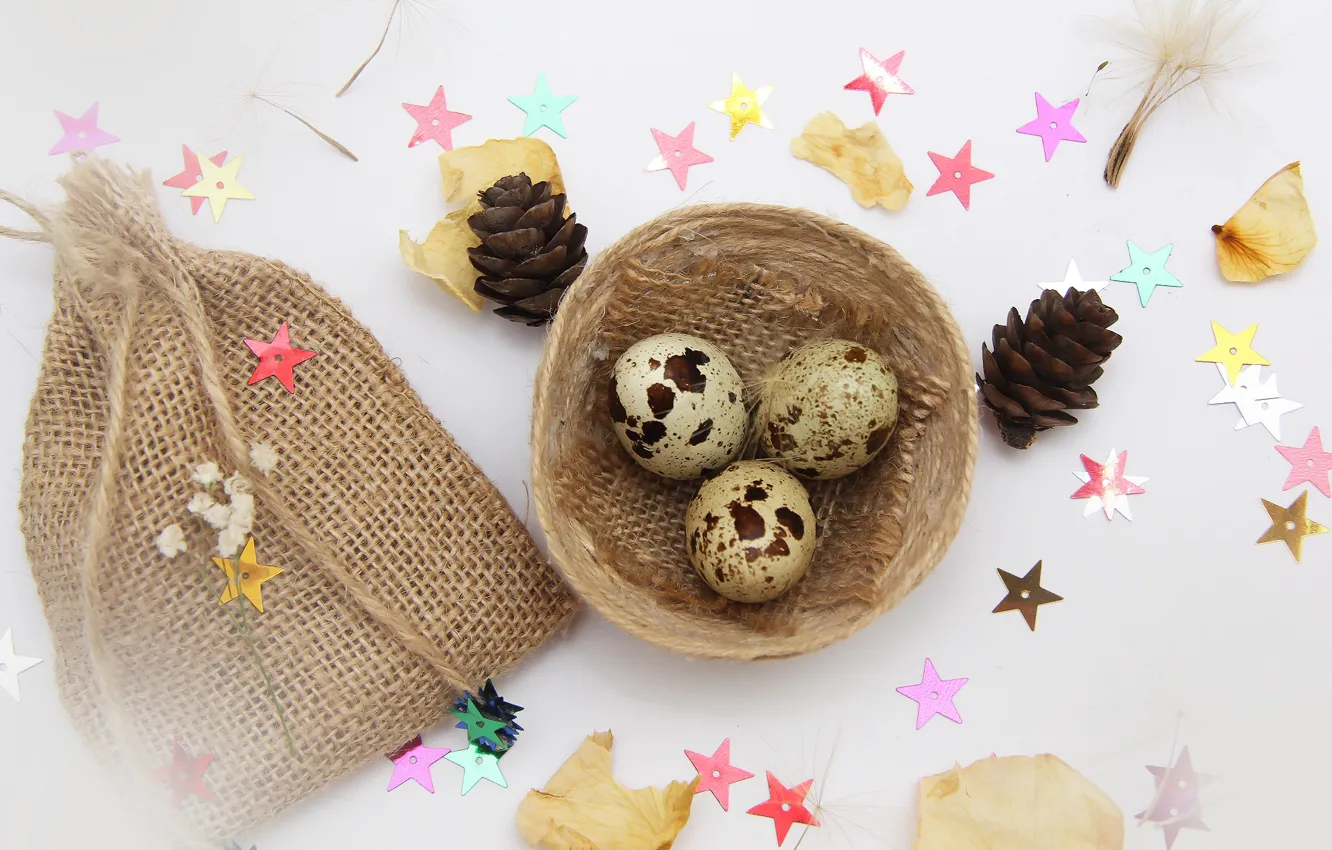 Photo wallpaper background, eggs, socket, bumps