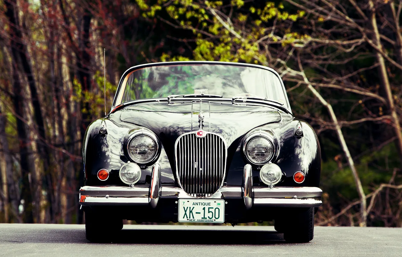 Photo wallpaper Roadster, Jaguar, Vintage, XK150