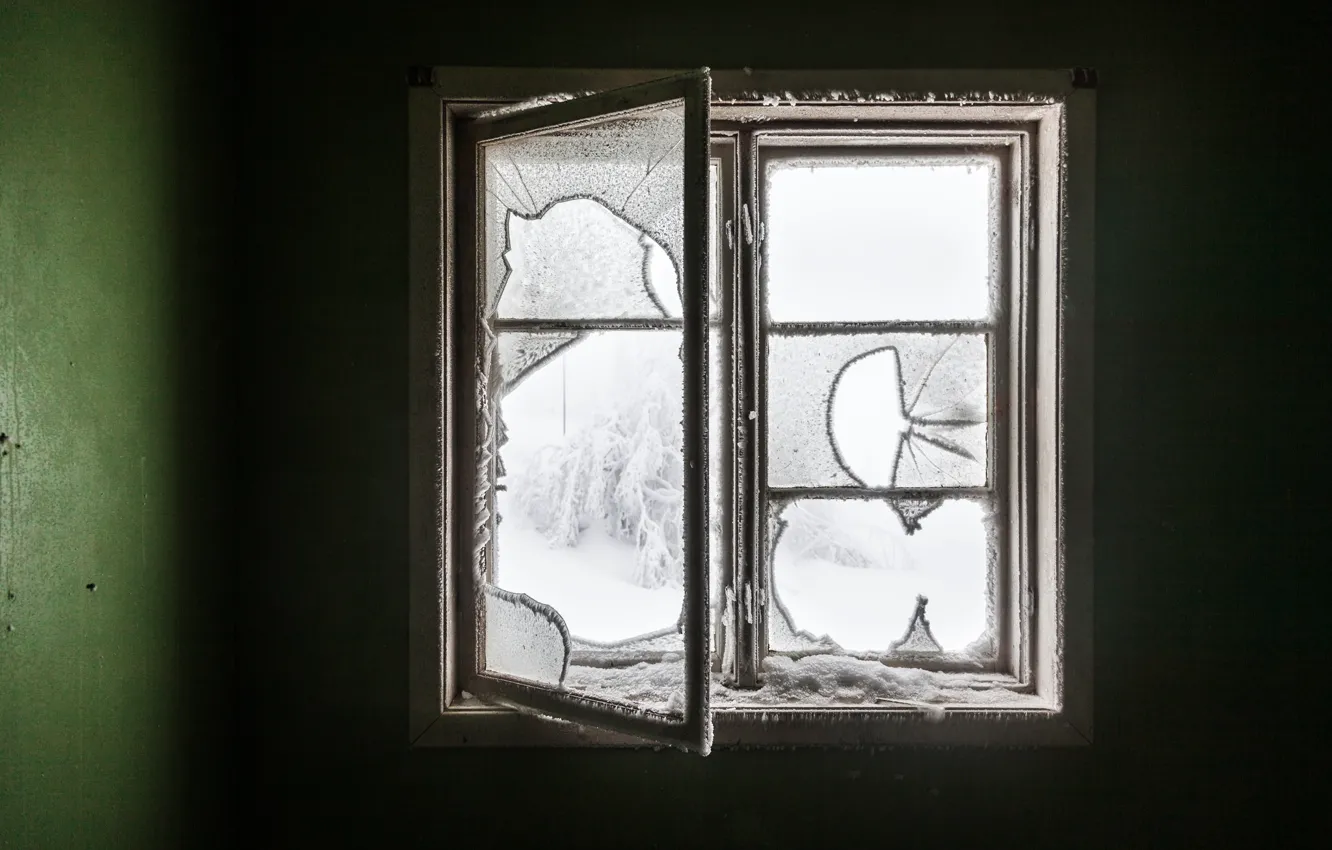 Photo wallpaper winter, room, window