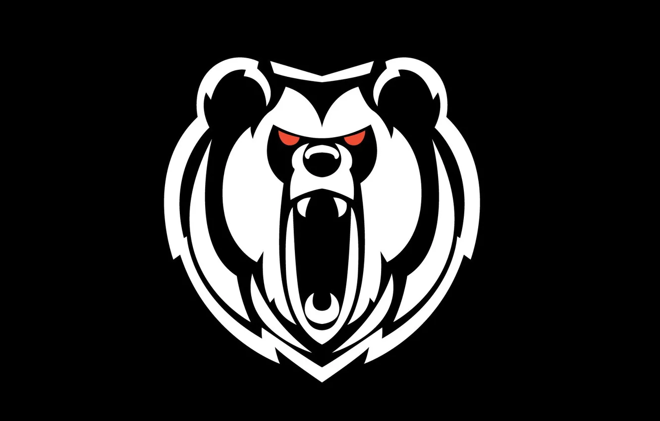 Photo wallpaper background, white, head, black, Bear, roar