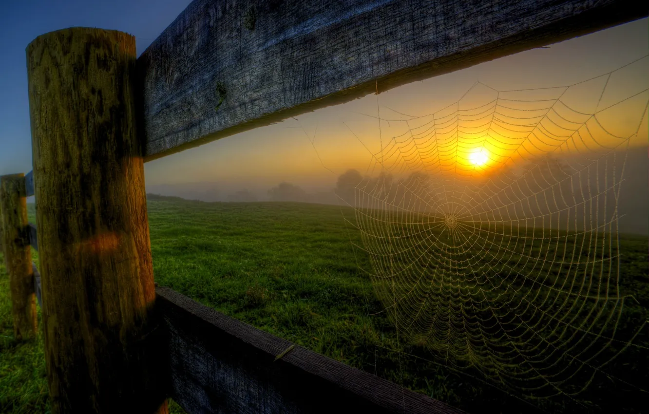 Photo wallpaper forest, the sky, trees, sunset, mountains, nature, spring, forest