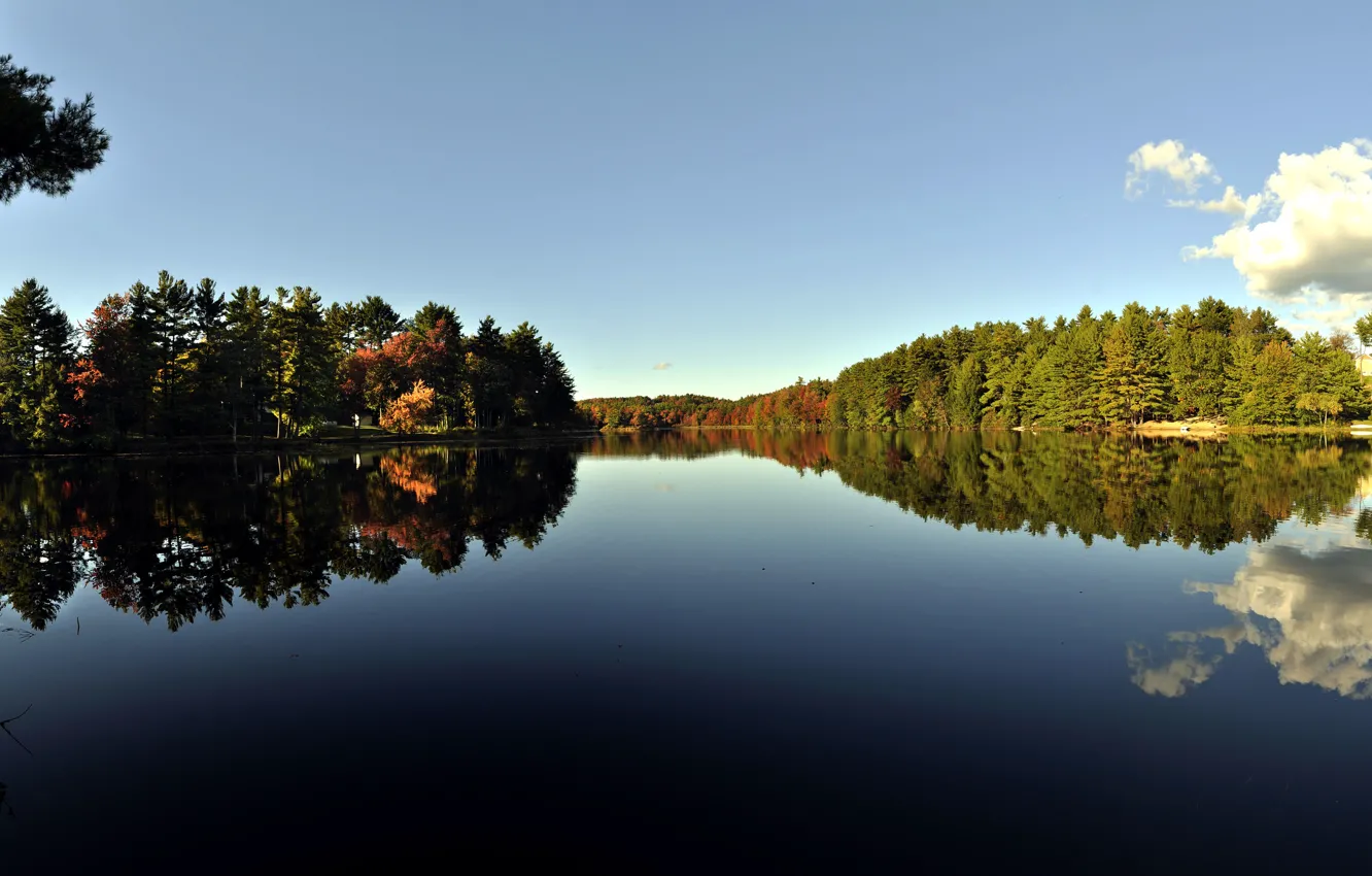 Photo wallpaper trees, river, shore, smooth surface