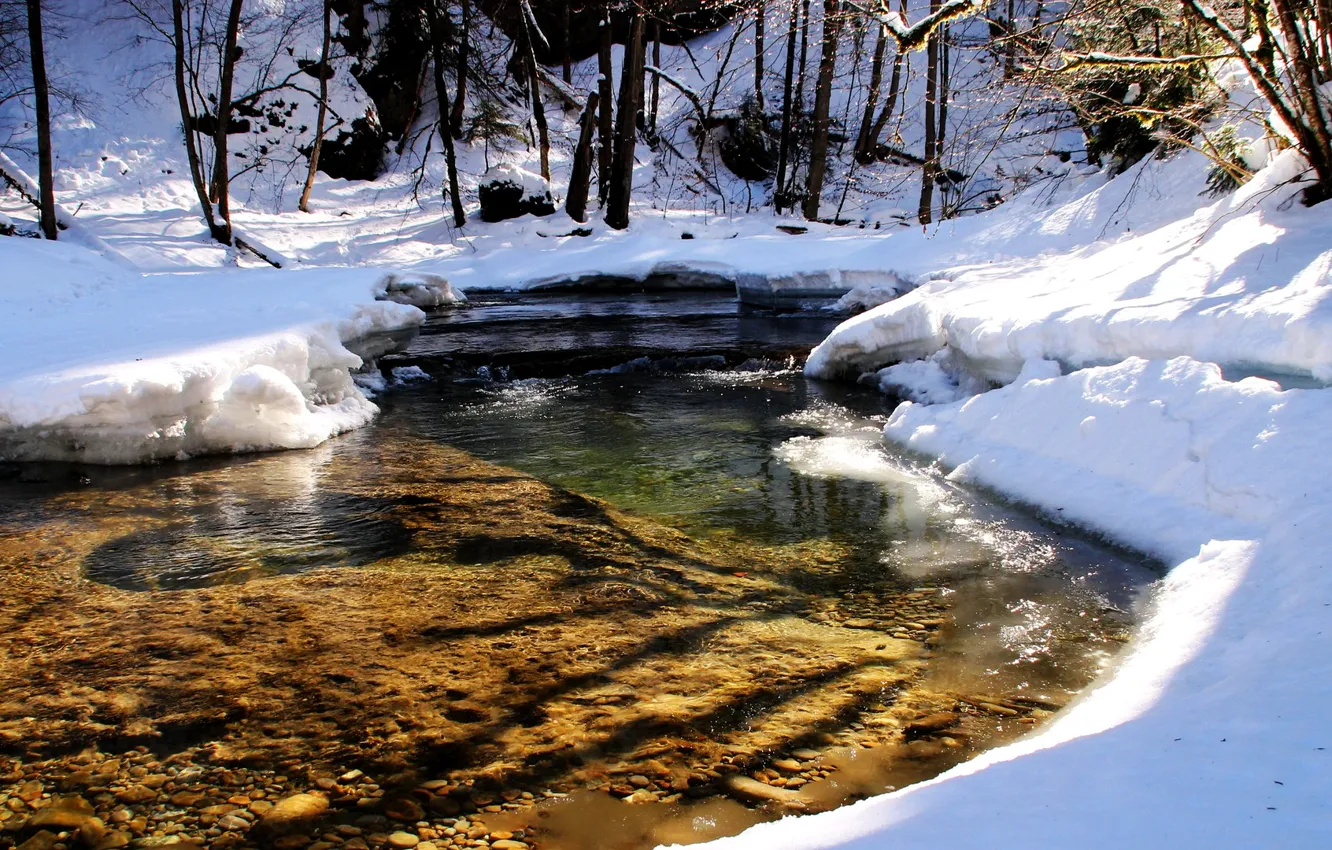 Photo wallpaper forest, snow, trees, river, stream, spring