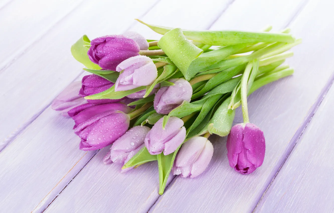 Photo wallpaper flowers, bouquet, tulips, wood, flowers, tulips, spring, purple