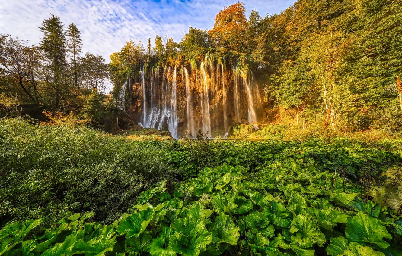 Photo wallpaper autumn, trees, vegetation, waterfall, Croatia, Croatia, mugs, Plitvice lakes