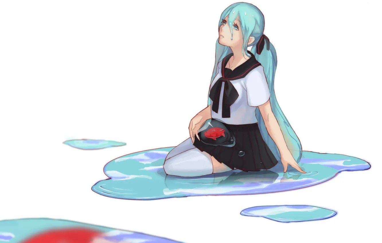 Photo wallpaper water, fish, tears, white background, puddles, vocaloid, sitting, Hatsune Miku