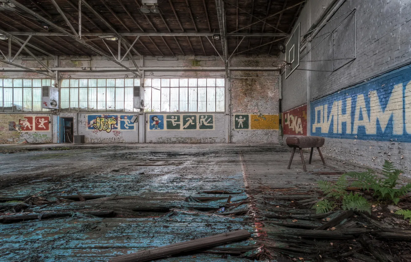 Photo wallpaper sport, interior, hall