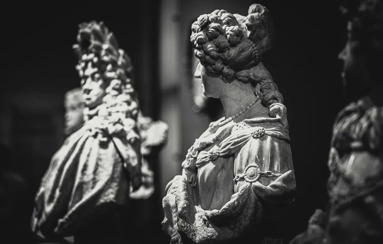 Photo wallpaper human, person, Lady, adult