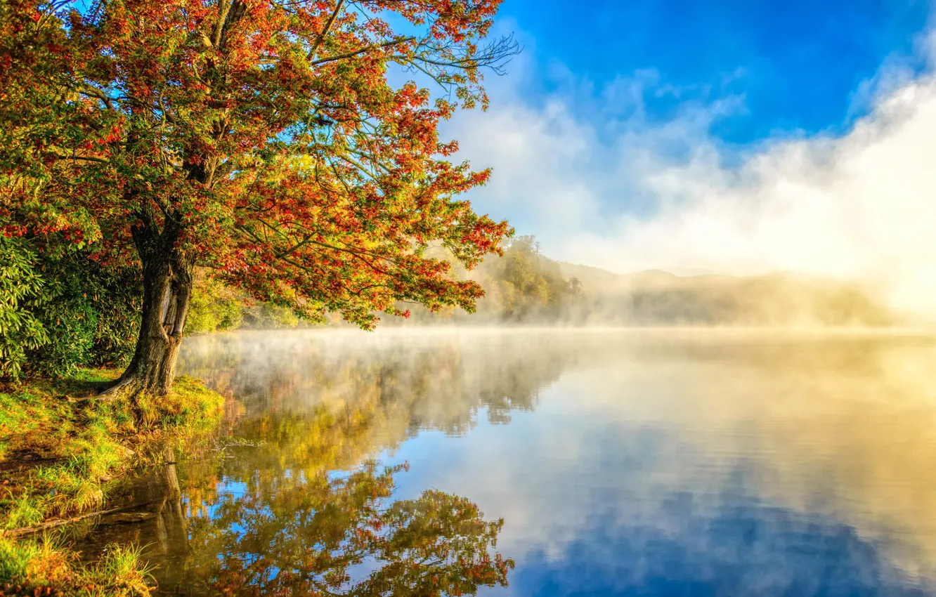 Photo wallpaper autumn, forest, landscape, nature, lake, haze