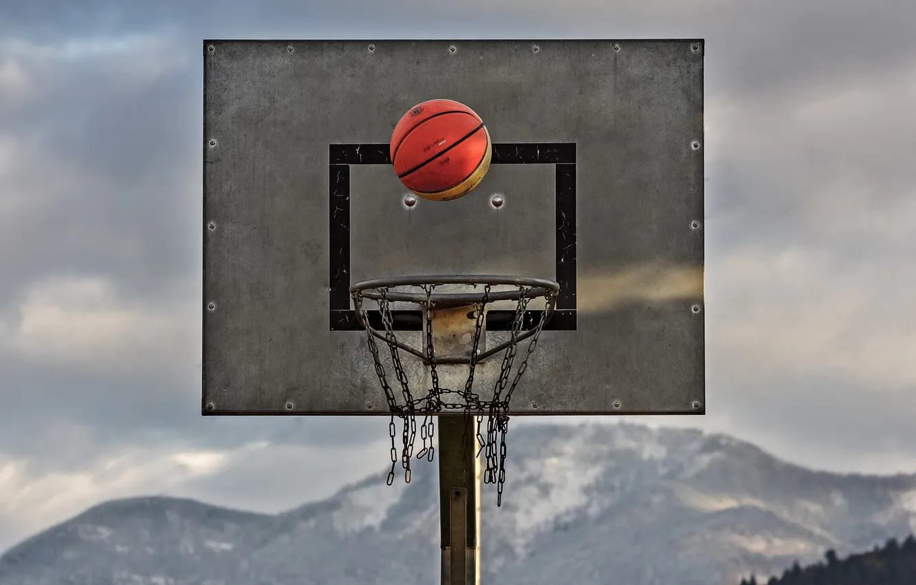 Photo wallpaper sport, the ball, shield