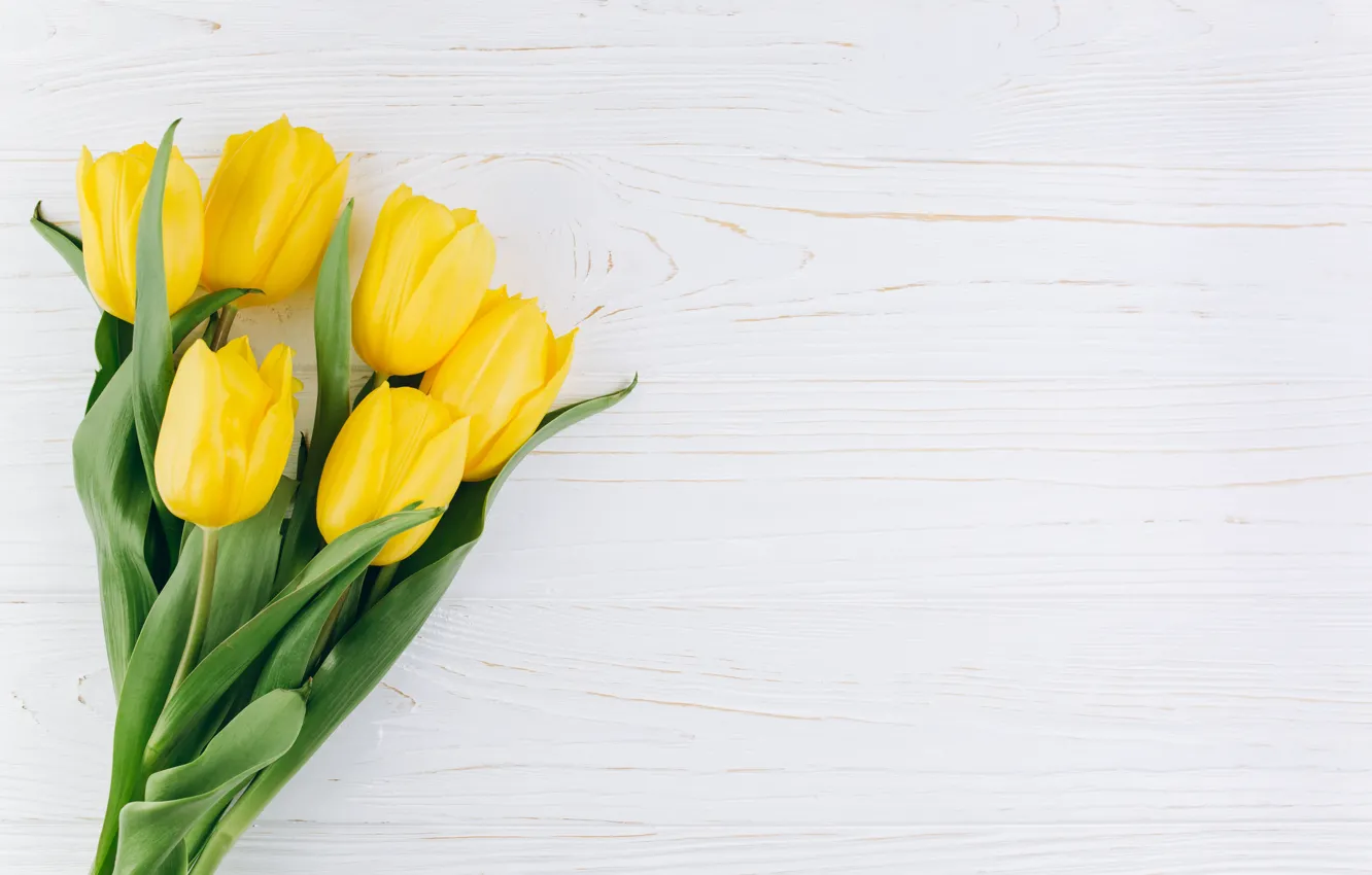 Photo wallpaper flowers, yellow, tulips, fresh, yellow, wood, flowers, beautiful