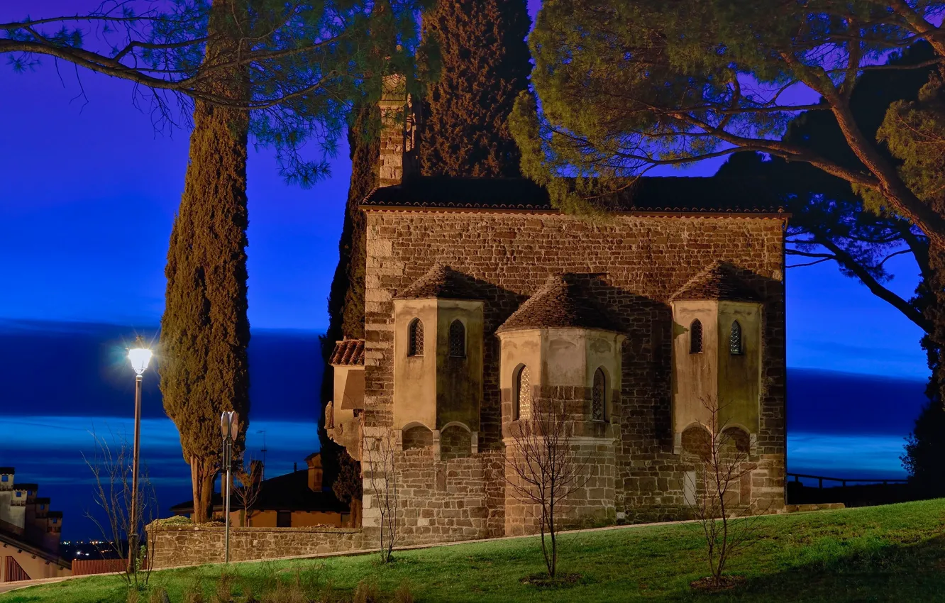 Photo wallpaper trees, night, lights, Italy, Basilica, Gorizia