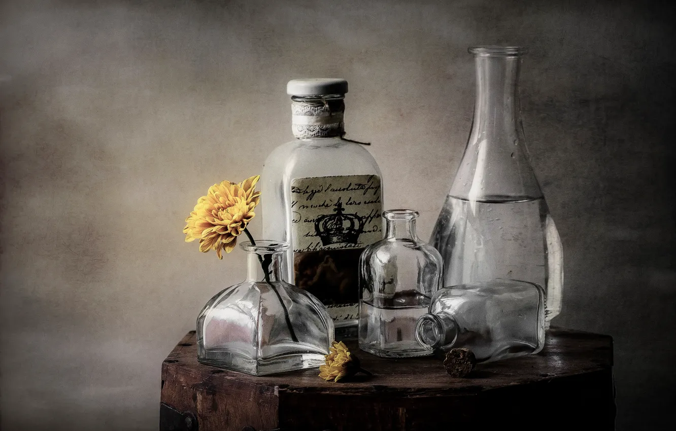 Photo wallpaper flower, glass, bottle, dishes, still life, decanter