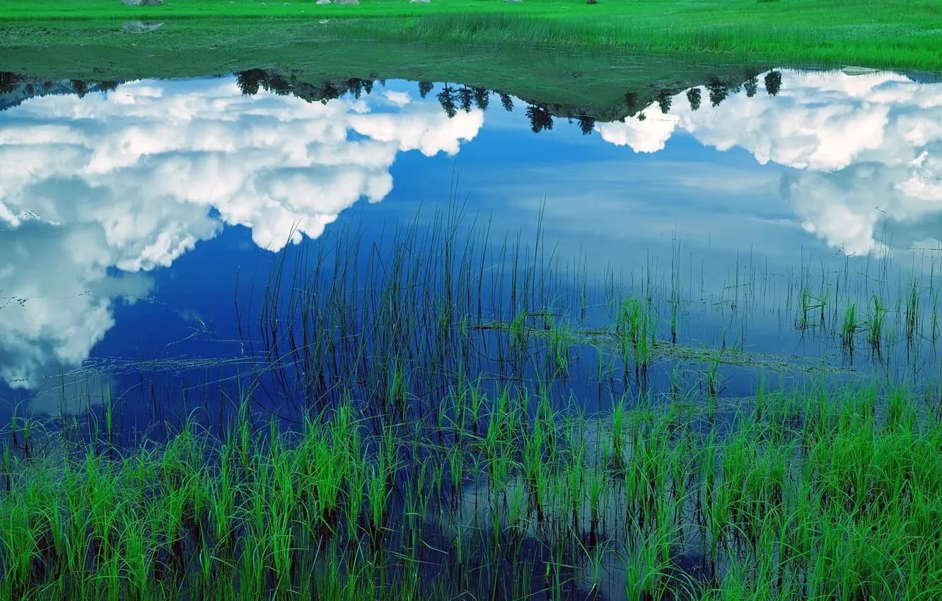 Photo wallpaper grass, clouds, lake, reflection