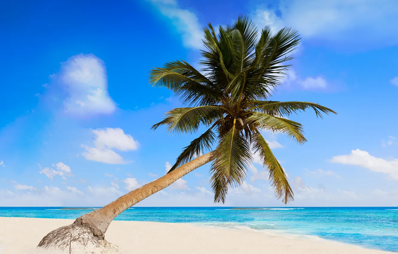 Photo wallpaper sand, sea, wave, beach, summer, the sky, palm trees, shore