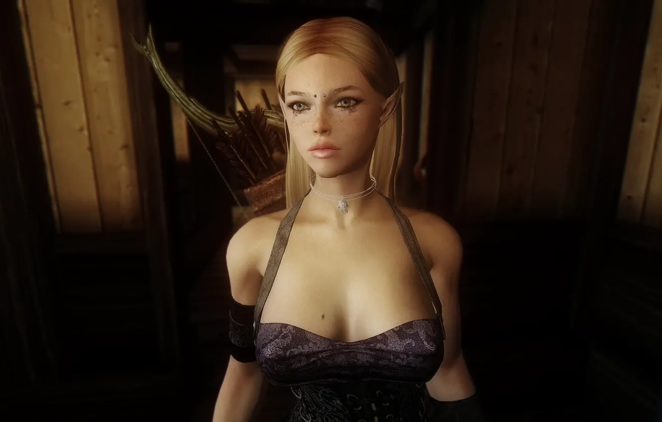 Photo wallpaper Skyrim, TES 5, Elder Scrolls, litezia, Follower