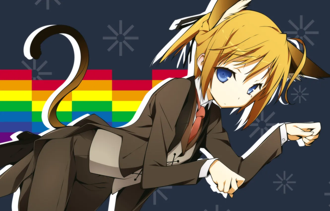 Photo wallpaper costume, tie, blue eyes, coat, cat ears, mayo chiki!, neko girl, Subaru Konoe