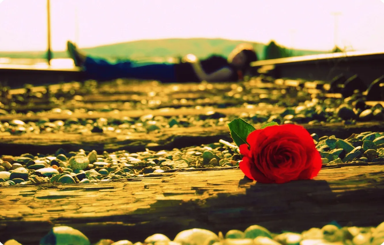 Photo wallpaper road, flower, girl, macro, flowers, mood, rose, people