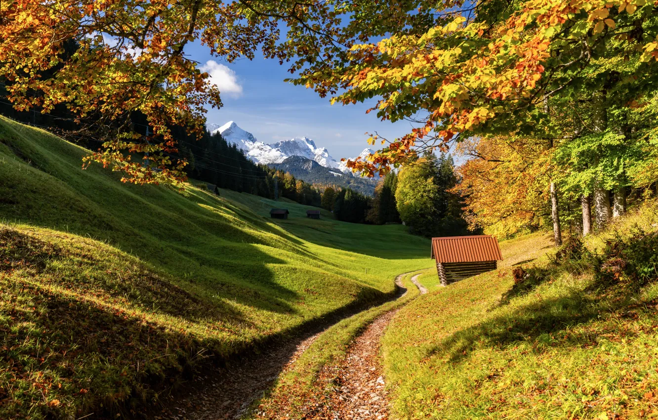 Photo wallpaper road, autumn, forest, trees, mountains, Germany, Bayern, Germany