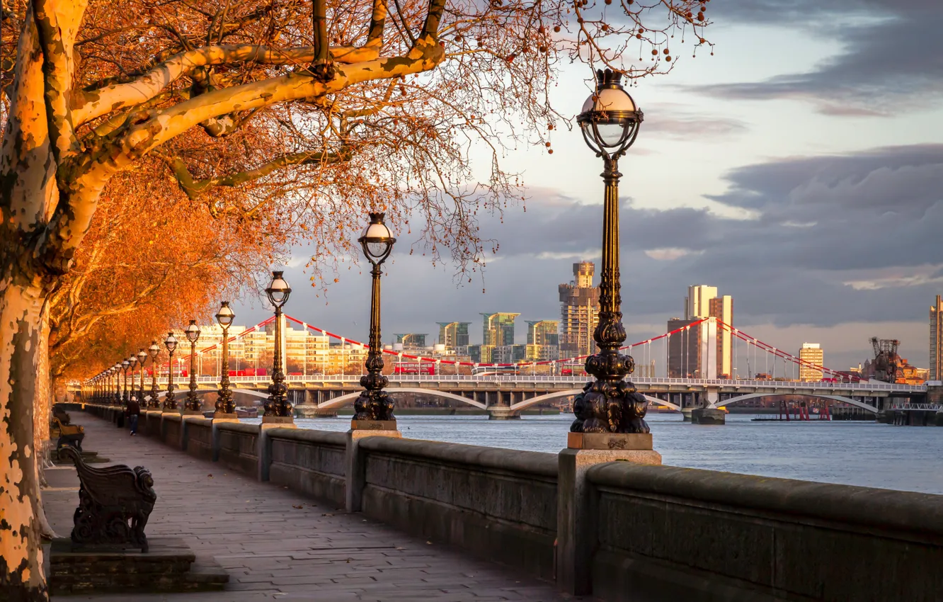 Photo wallpaper autumn, trees, bridge, river, England, London, lights, promenade