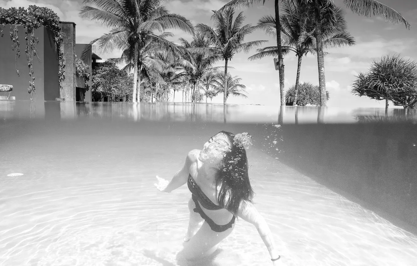 Photo wallpaper summer, girl, pool, bikini, the hotel, Coconut trees