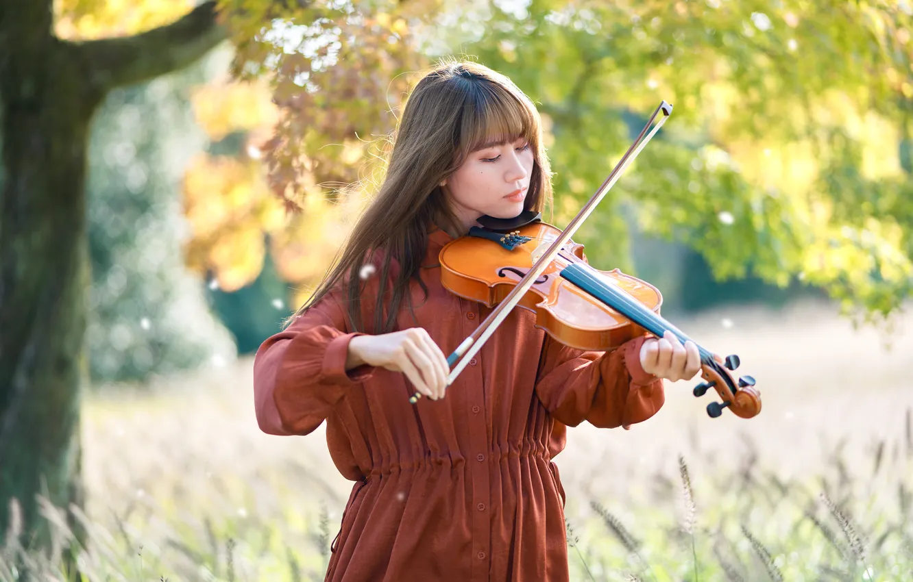 Photo wallpaper autumn, girl, light, pose, Park, music, foliage, violin
