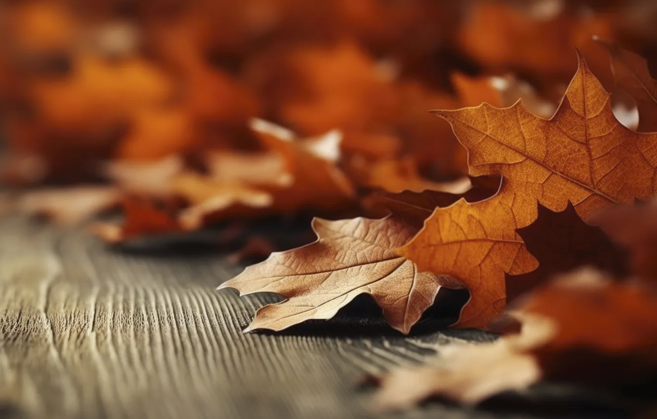 Photo wallpaper autumn, leaves, trees, background, colorful, wood, autumn, leaves
