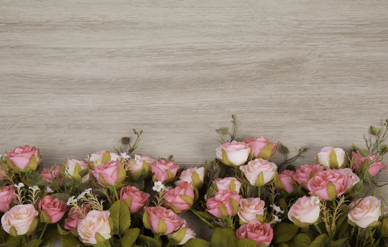 Photo wallpaper flowers, roses, wood, pink, flowers, roses